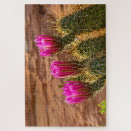 Quebra-cabeça Triplas de cactos de ouriços