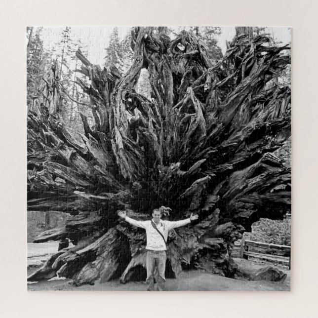 Quebra-cabeça Tronco de árvore Sequioa de ângulo largo - 20x20 - (Vertical)