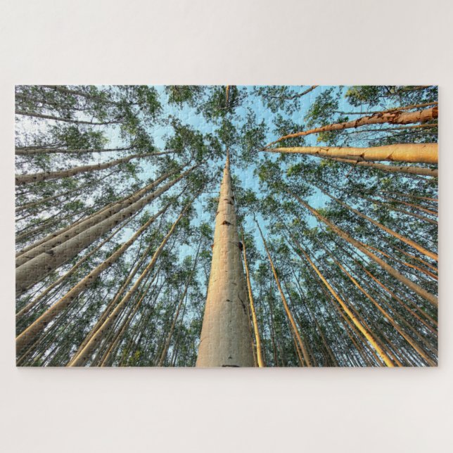 Quebra-cabeça Troncos e Folhas de Aspen, Yukon (Horizontal)