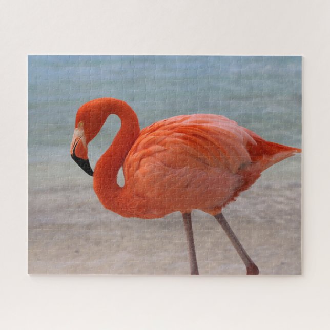Quebra-cabeça Tropical Beaches | Caribbean Flamingo, Aruba (Horizontal)