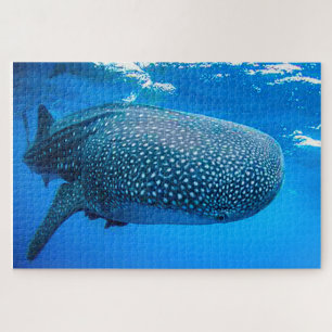 Quebra-cabeça Tubarao Jigsaw Puzzle