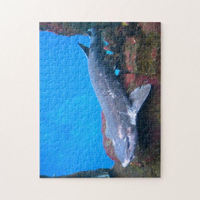 Quebra-cabeça Tubarões marinhos. (Vertical)