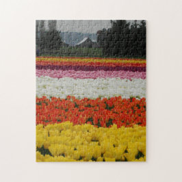 Quebra-cabeça Tulip Fields Puzzle, 11" x 14", 252 pieces