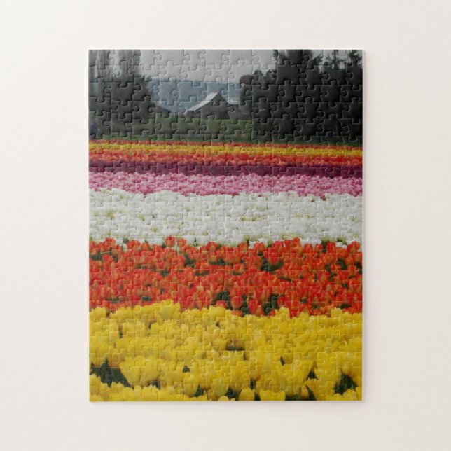 Quebra-cabeça Tulip Fields Puzzle, 11" x 14", 252 pieces (Vertical)