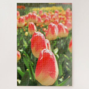 Quebra-cabeça Tulip Heaven