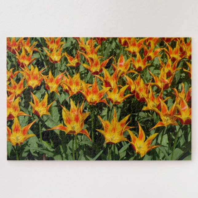 Quebra-cabeça Tulipa com Flor de Lírio "Fly away." Laranja. (Horizontal)