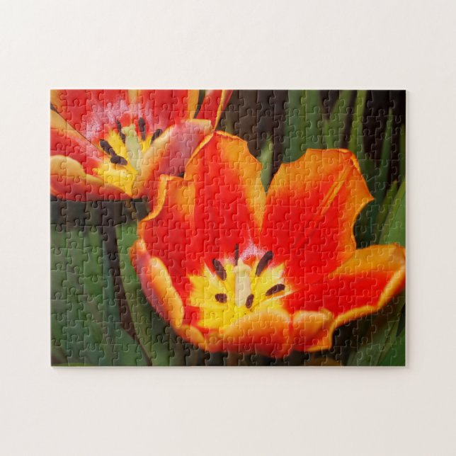 Quebra-cabeça Tulipa Coração Dourado, 28 cm x 35,5 (Horizontal)