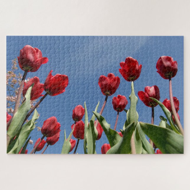 Quebra-cabeça Tulipa Triunfo (Tulipa) "Reinier Paping" (Horizontal)