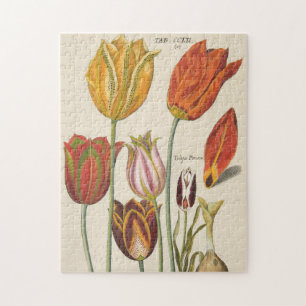 Quebra-cabeça Tulipas