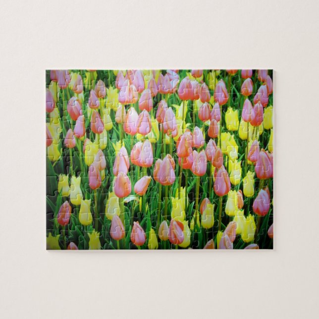 Quebra-cabeça tulipas (Horizontal)