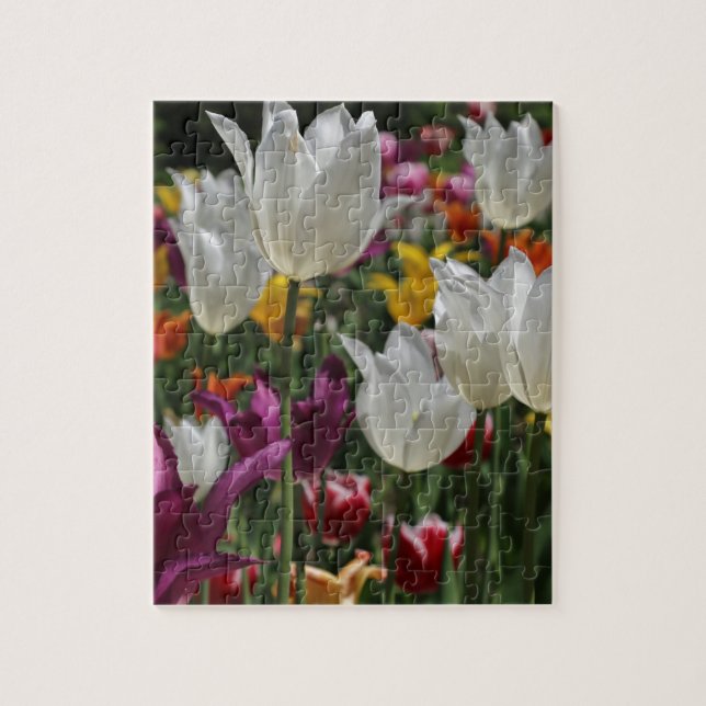 Quebra-cabeça Tulipas (Vertical)