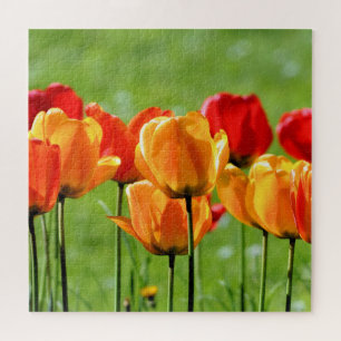 Quebra-cabeça Tulipas Amarelas E Vermelhas