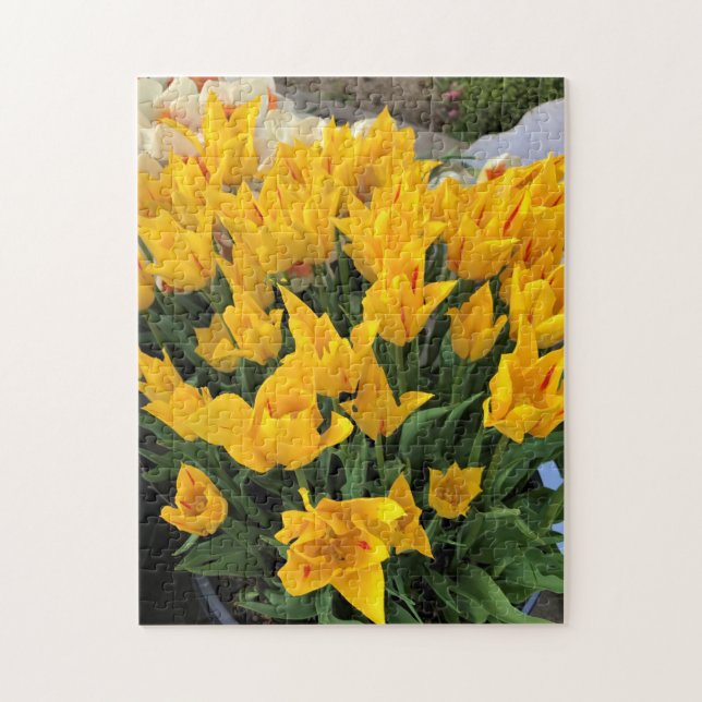 Quebra-cabeça Tulipas Amarelas Únicas (Vertical)