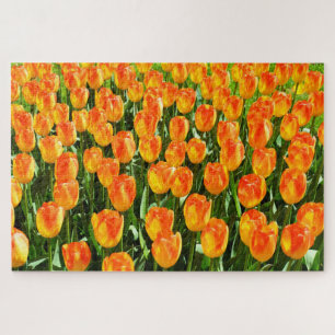 Quebra-cabeça Tulipas bonitas