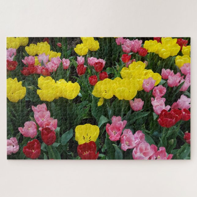 Quebra-cabeça Tulipas Coloridas no Jardim (Horizontal)