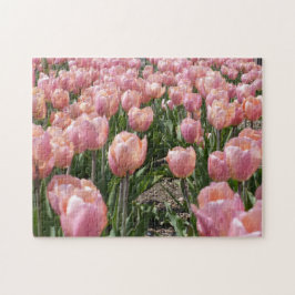 Quebra-cabeça Tulipas cor-de-rosa com beijos solares