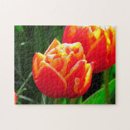 Quebra-cabeça Tulipas de Amsterdã.