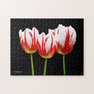 Quebra-cabeça Tulipas de Folha Elegante de Maple