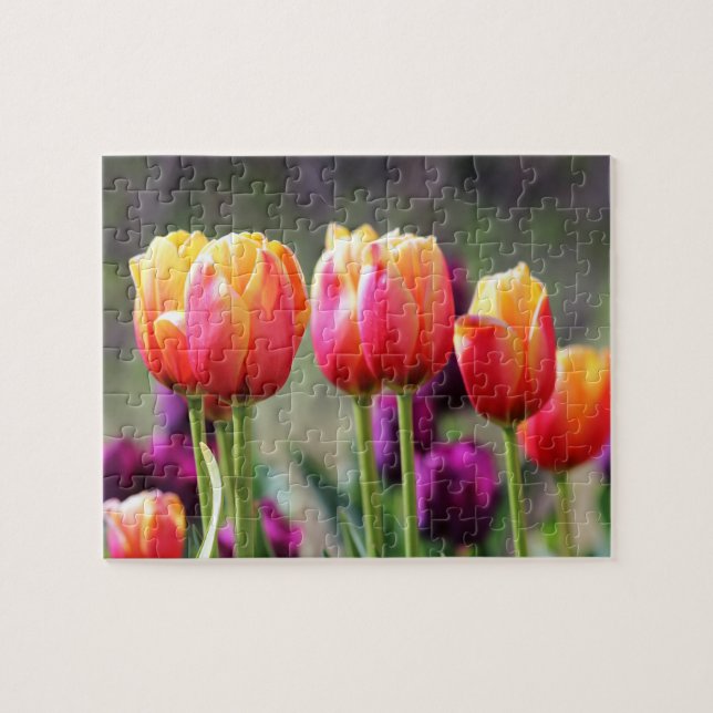 Quebra-cabeça Tulipas de queda Achama (Horizontal)