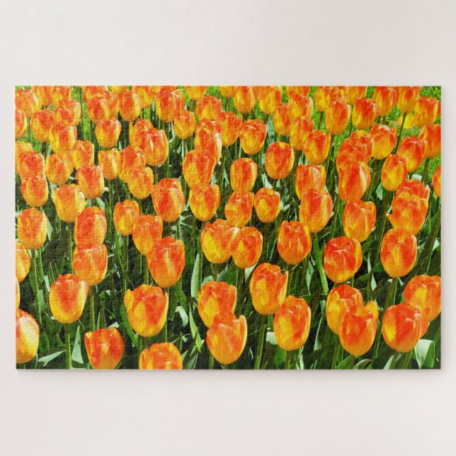Quebra-cabeça Tulipas lindas (Horizontal)