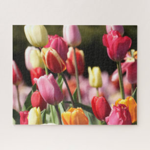 Quebra-cabeça Tulipas Mistas Coloridas no jardim
