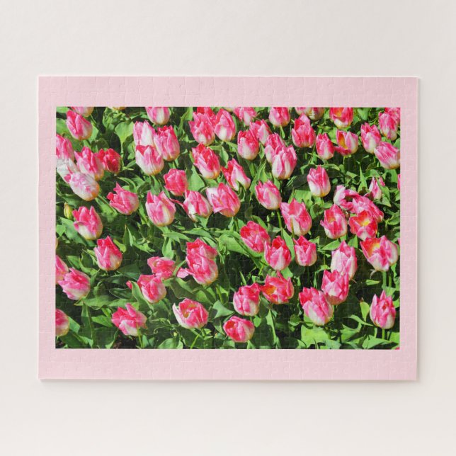 Quebra-cabeça Tulipas rosa (Horizontal)