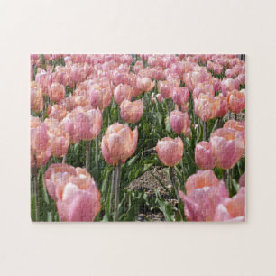 Quebra-cabeça Tulipas Rosa Beijadas pelo Sol