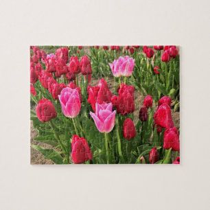Quebra-cabeça Tulipas Rosa e Vermelha