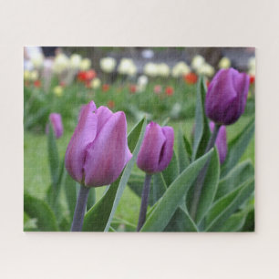 Quebra-cabeça Tulipas Roxas