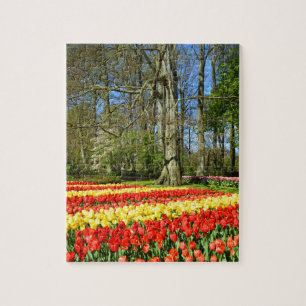 Quebra-cabeça Tulipas vermelhas e amarelas