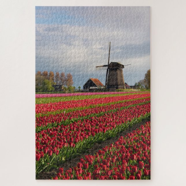 Quebra-cabeça Tulipas vermelhas e moinho (Vertical)