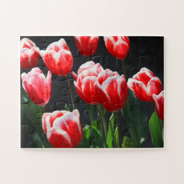 Quebra-cabeça Tulips 30-pc (Horizontal)