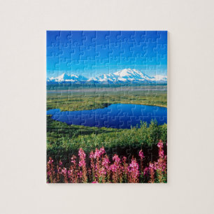 Quebra-cabeça Tundra o Monte McKinley Denali Alaska da cena