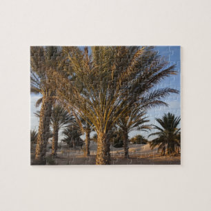 Quebra-cabeça Tunísia, Deserto do Saara, Douz, Grande Duna, palm