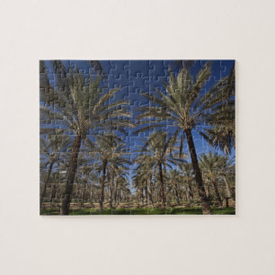 Quebra-cabeça Tunísia, Deserto do Saara, Douz, Zona Turística, 2