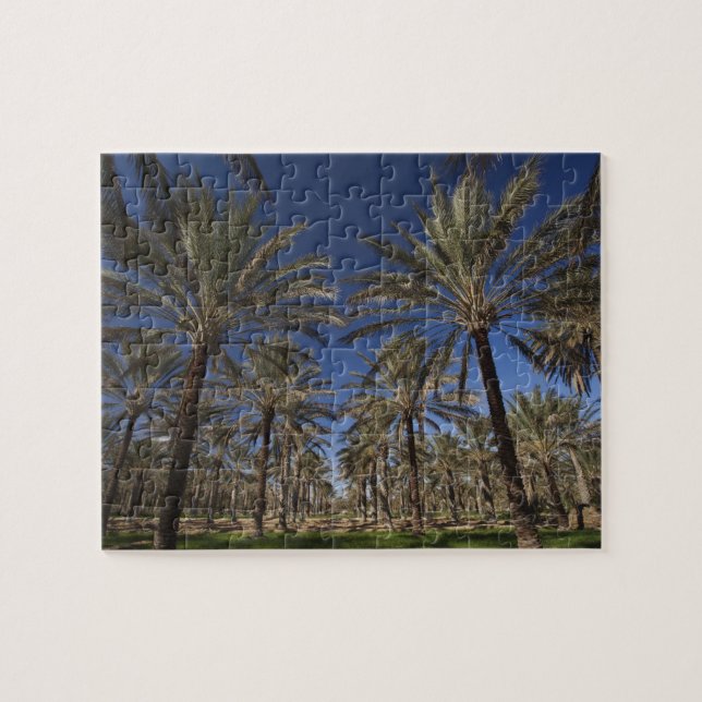 Quebra-cabeça Tunísia, Deserto do Saara, Douz, Zona Turística, 2 (Horizontal)