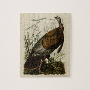 Quebra-cabeça Turquia selvagem por John Audubon