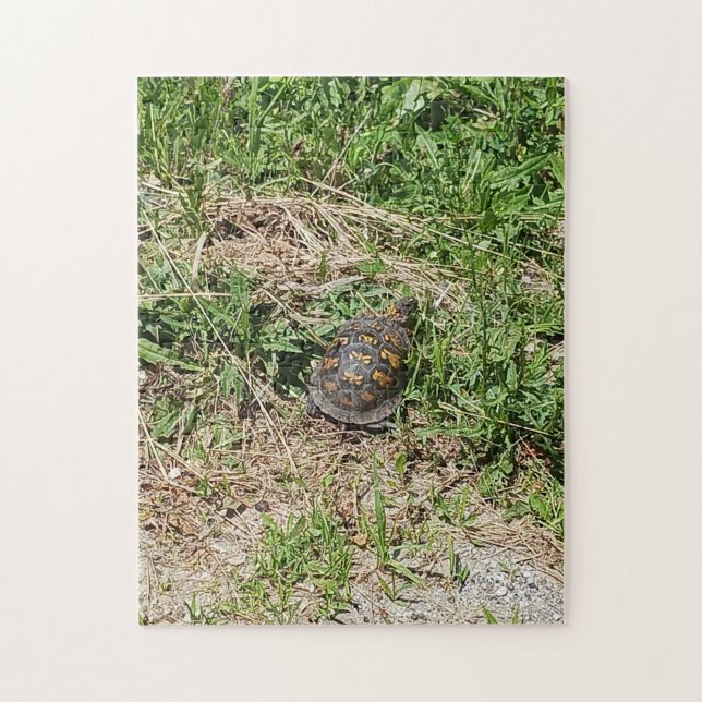 Quebra-cabeça Turtle (Vertical)