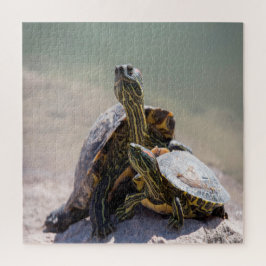 Quebra-cabeça Turtle Love