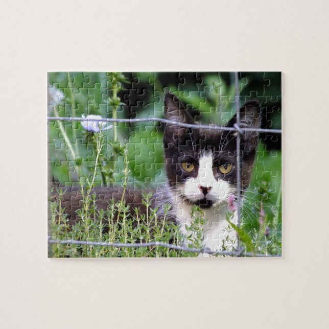 Quebra-cabeça Tuxedo Kitten in the Garden Puzzle (Horizontal)
