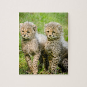 Quebra-cabeça Twin Baby Cheetahs