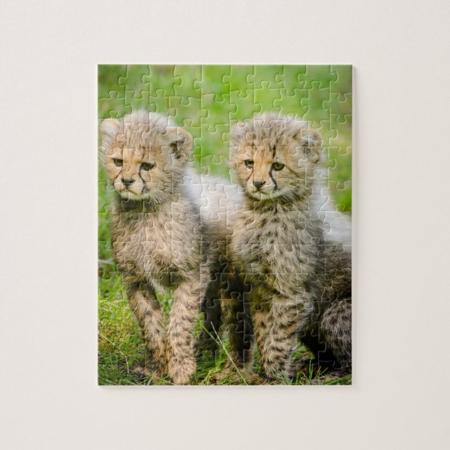 Quebra-cabeça Twin Baby Cheetahs (Vertical)