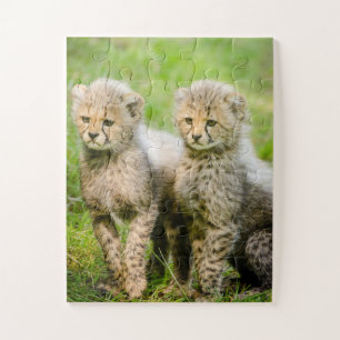 Quebra-cabeça Twin Baby Cheetahs