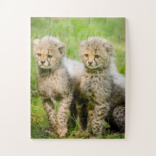 Quebra-cabeça Twin Baby Cheetahs (Vertical)