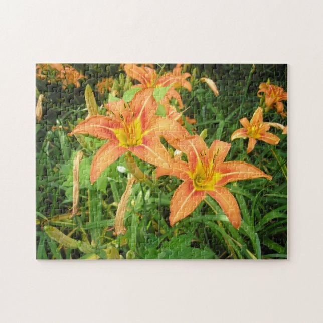 Quebra-cabeça "Twin Tiger Lily" (Horizontal)