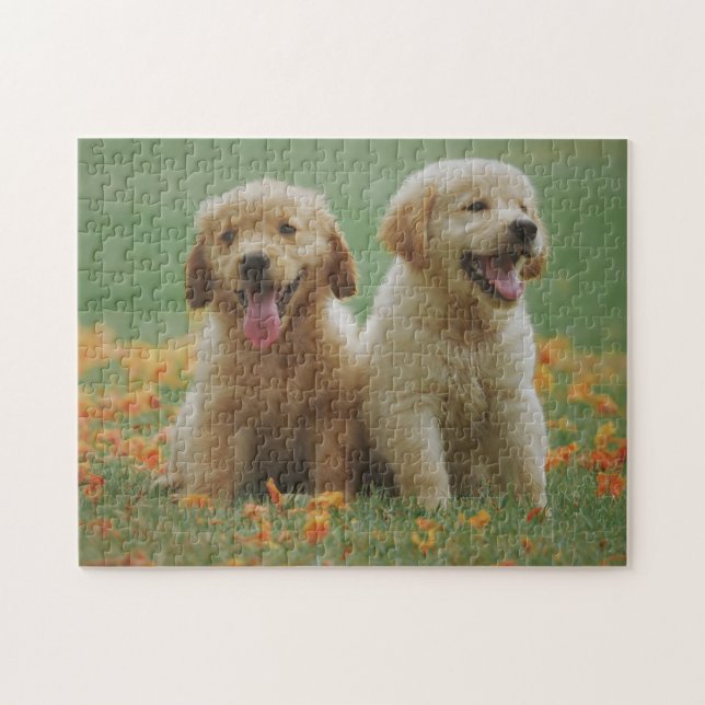 Quebra-cabeça Two Golden Retriever Puppies in Flowers (Horizontal)