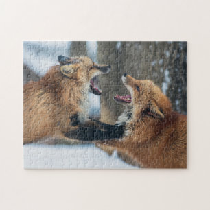 Quebra-cabeça Two Red Foxes Fighting