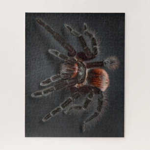 Quebra-cabeça UAU! Aranha Tarantula Super Legal