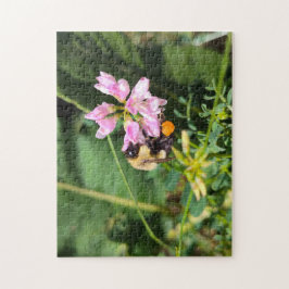 Quebra-cabeça Última das Varias