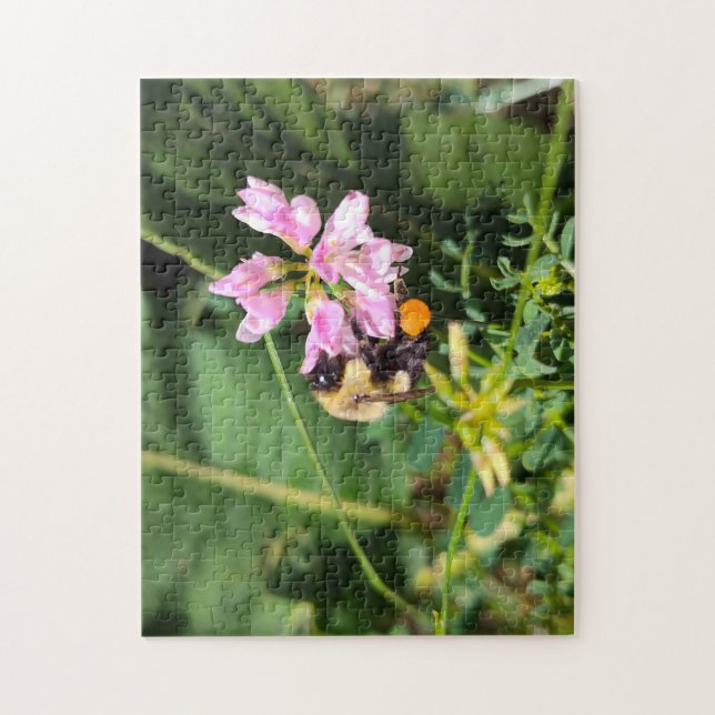 Quebra-cabeça Última das Varias (Vertical)